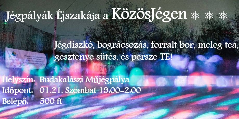 Jégpályák éjszakája, jégdisco